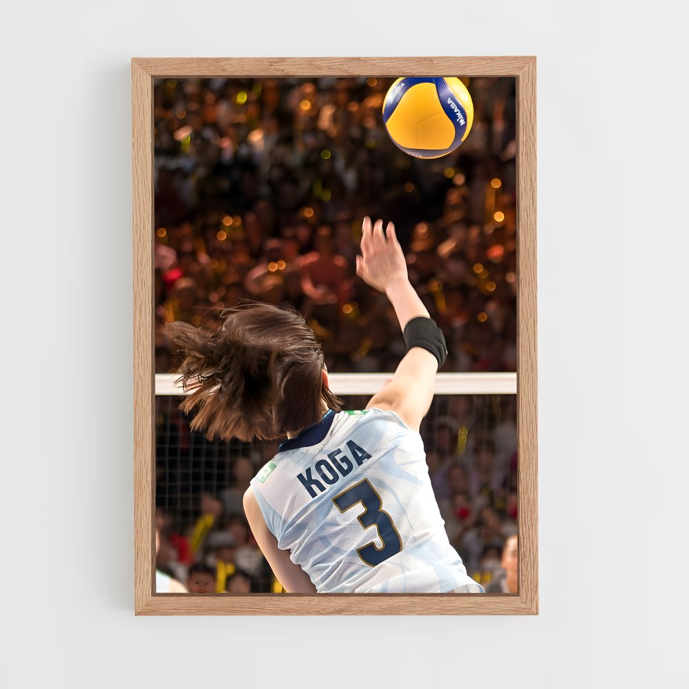 Poster Volleyball league (vue 4)